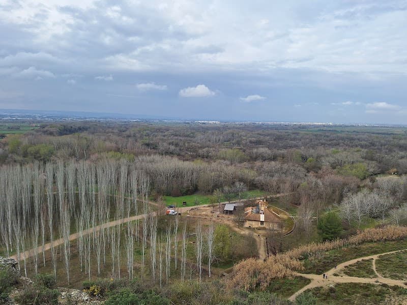 Galacho de Juslibol