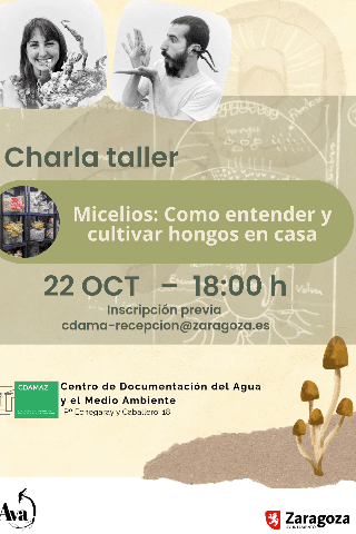 Micelios: Como Entender y Cultivar Hongos en Casa