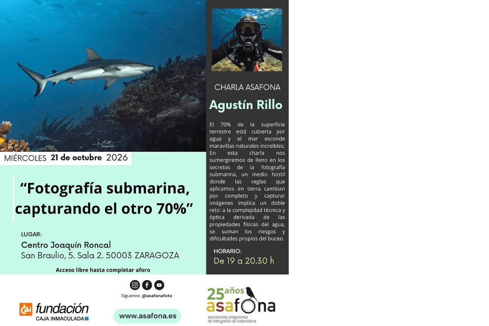 Charla ASAFONA: "Fotografía submarina, capturando el otro 70%"