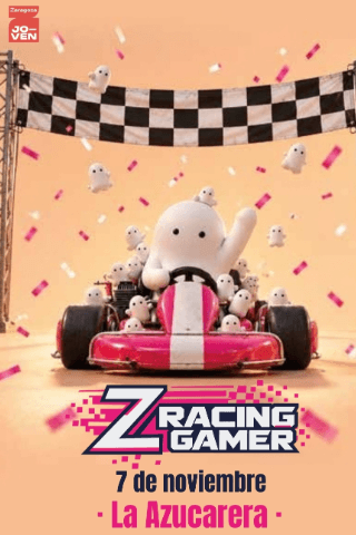 ZRacing Gamer