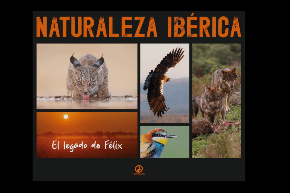 Exposición " Naturaleza Ibérica, el legado de Félix